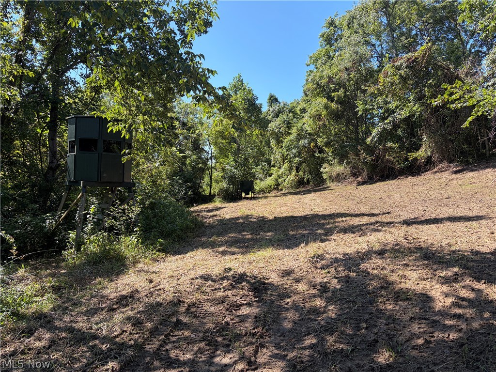 Spence Hill Rd Property Photo 22