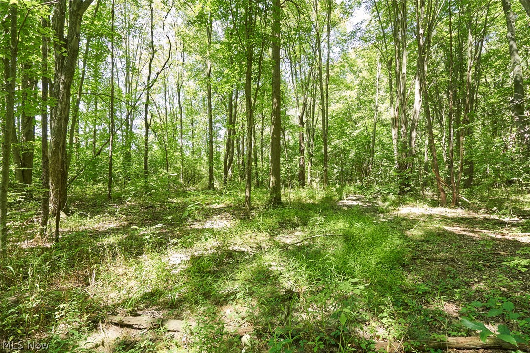 3279 Ridgewood Road Property Photo 3