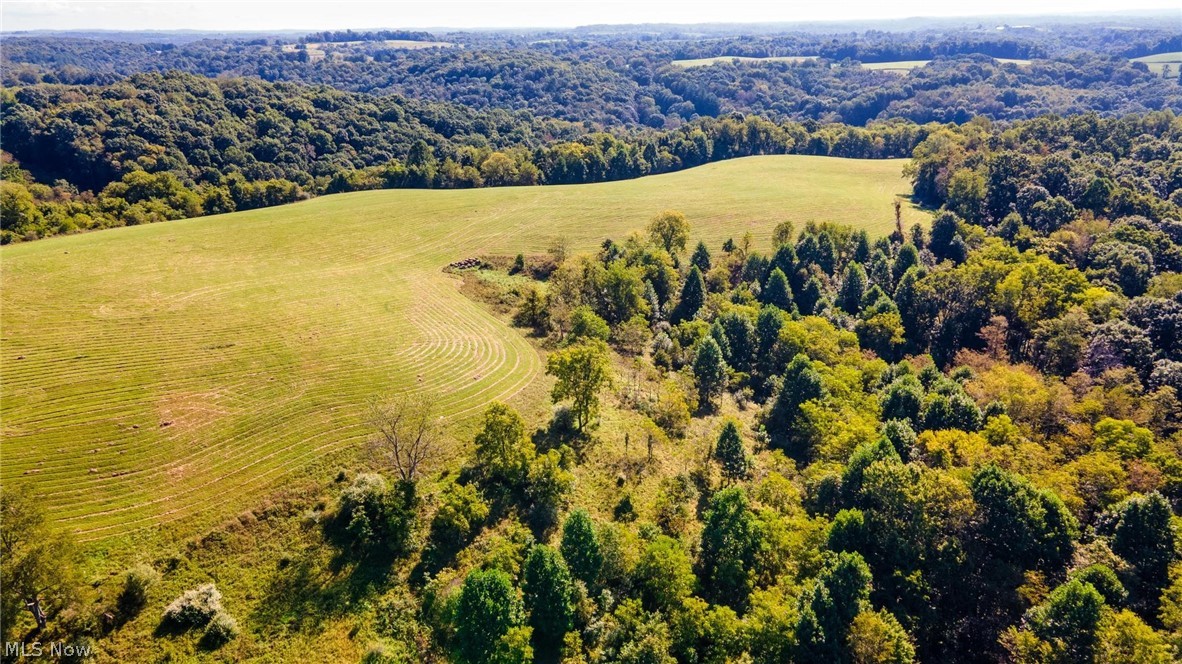 87123 Dodson Road Property Photo 15