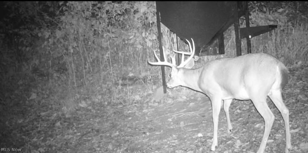 Crum Ridge Rd Property Photo 11