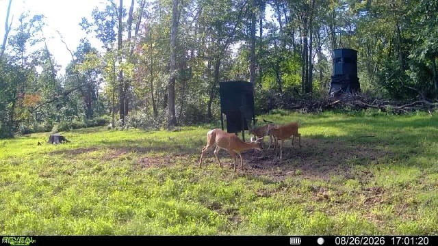 Crum Ridge Rd Property Photo 12