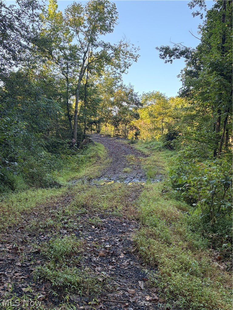 Crum Ridge Rd Property Photo 17