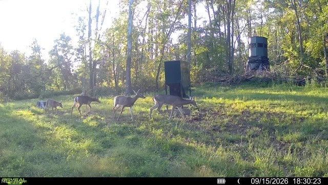 Crum Ridge Rd Property Photo 19