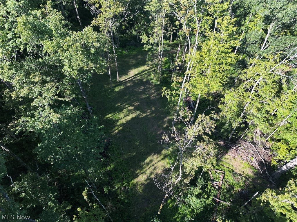 Crum Ridge Rd Property Photo 23