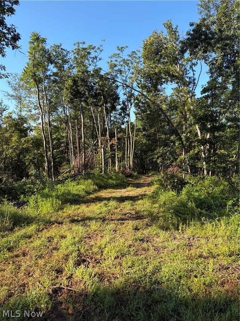 Crum Ridge Rd Property Photo 34