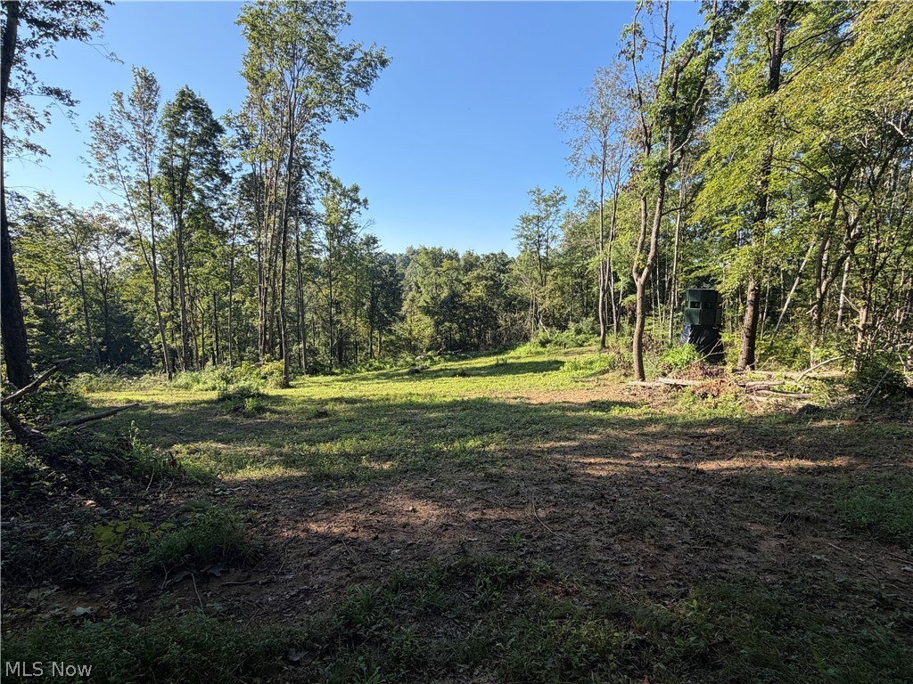Crum Ridge Rd Property Photo 36