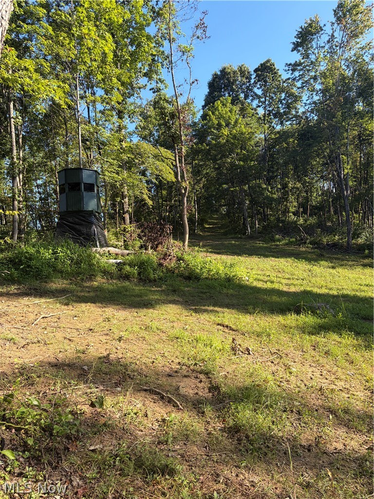 Crum Ridge Rd Property Photo 37