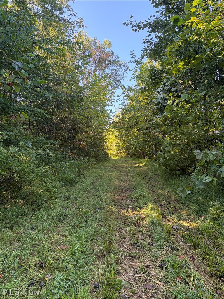 Crum Ridge Rd Property Photo 38