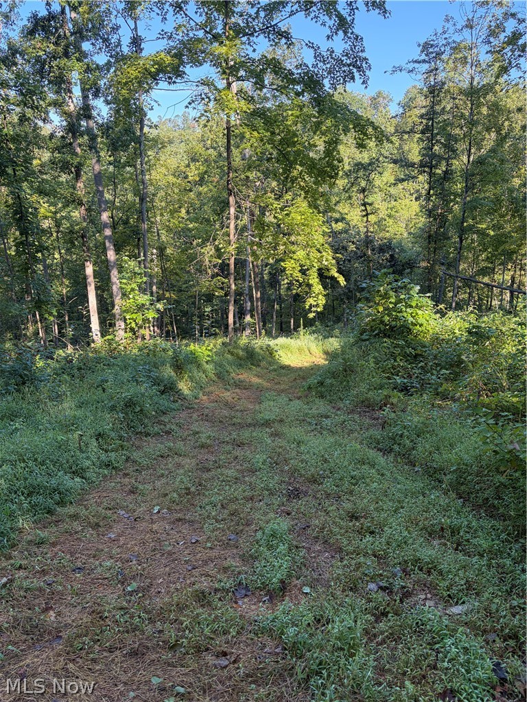 Crum Ridge Rd Property Photo 39