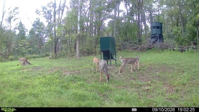 Crum Ridge Rd Property Photo 43