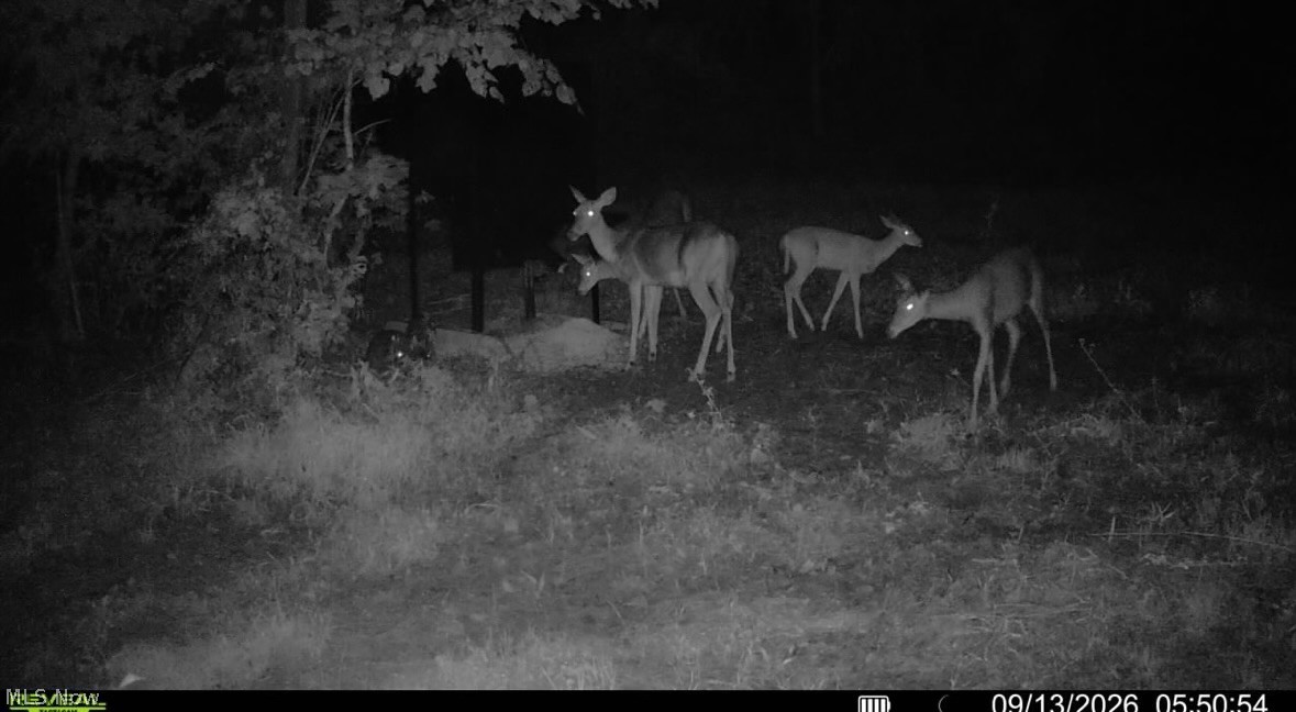 Crum Ridge Rd Property Photo 45