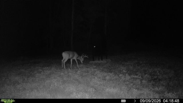 Crum Ridge Rd Property Photo 47