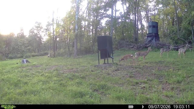 Crum Ridge Rd Property Photo 48