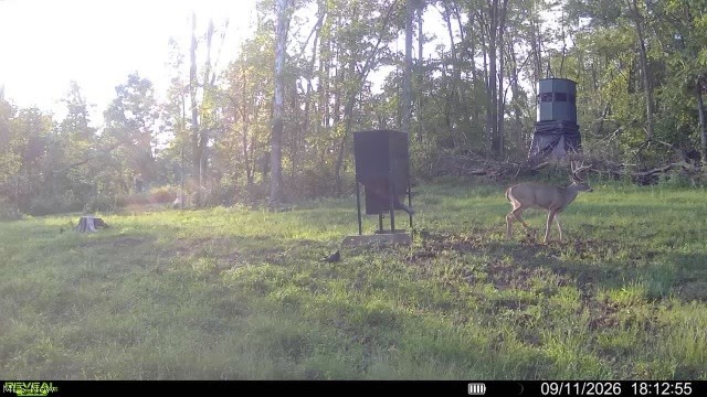 Crum Ridge Rd Property Photo 49