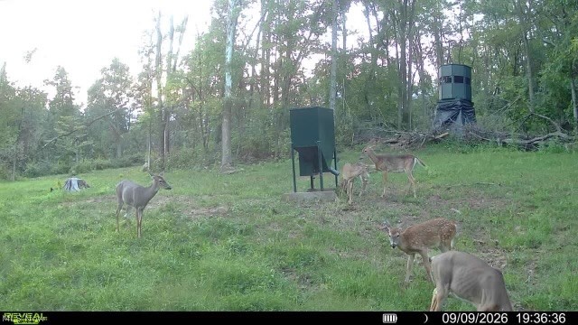 Crum Ridge Rd Property Photo 50
