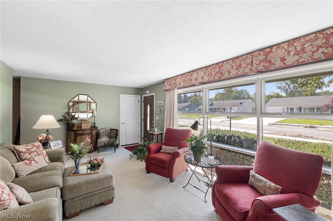 360 Pattie Drive Property Photo 6
