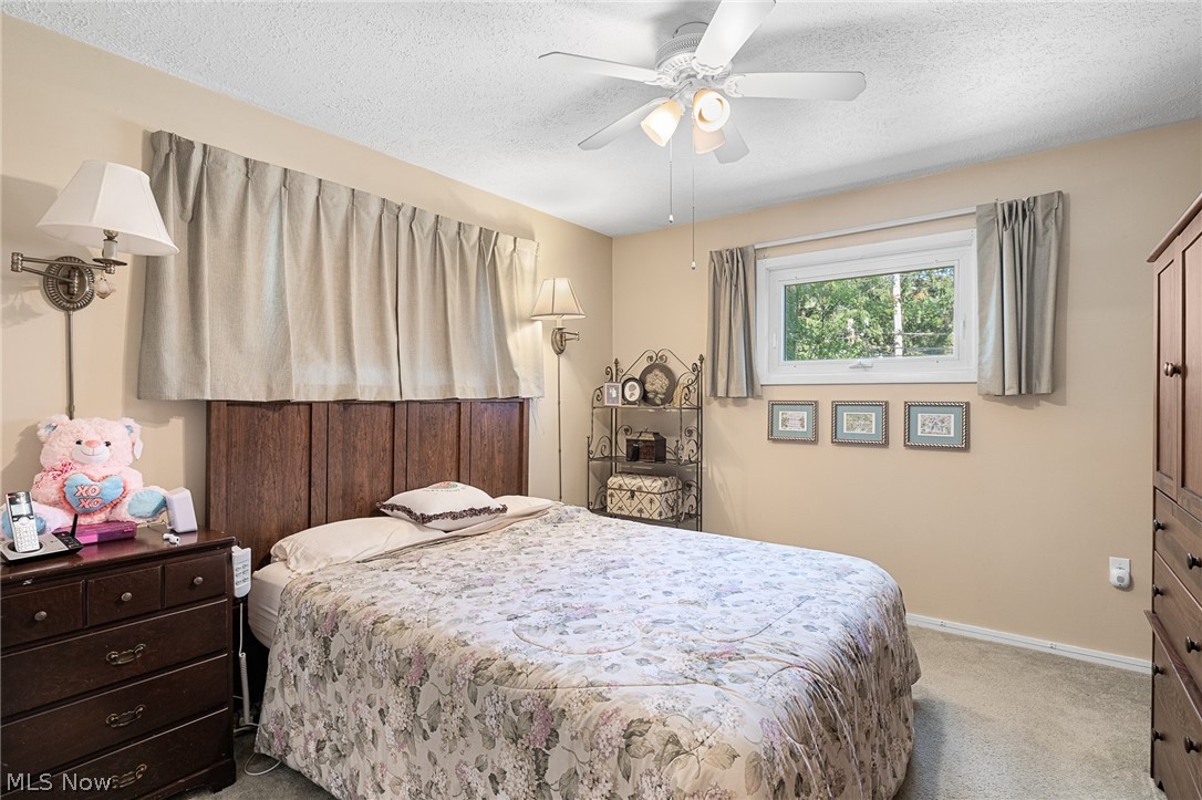 360 Pattie Drive Property Photo 20