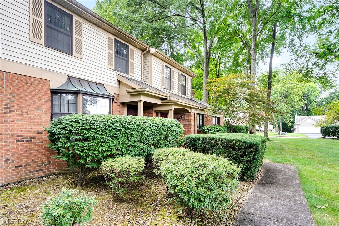 200 Talsman Drive C Property Photo 4