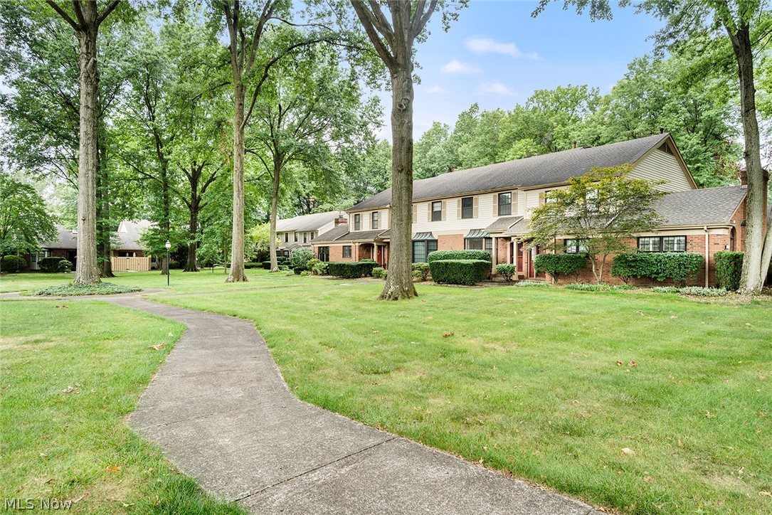 200 Talsman Drive C Property Photo 5