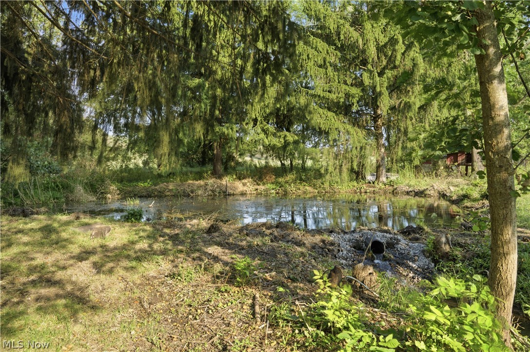 9247 Youngstown Pittsburgh Road Property Photo 42
