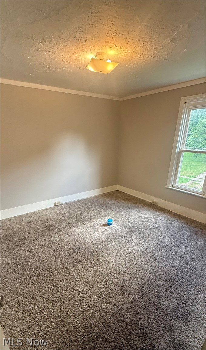 686 Sumner Street Property Photo 4
