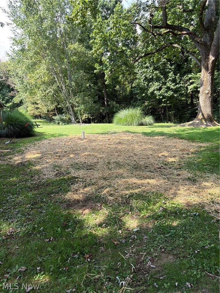 North St. Rear Property Photo 5