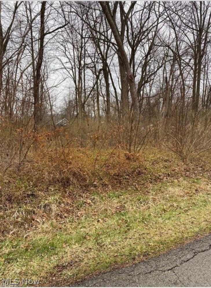 Overlook Way Property Photo 2