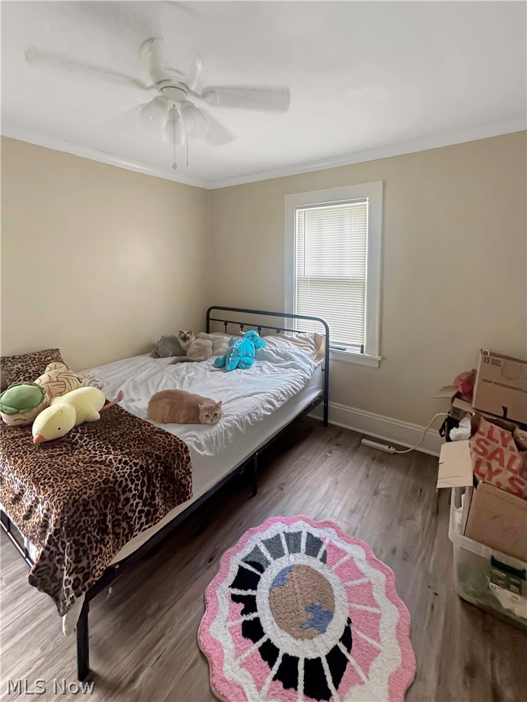 688 Merton Avenue Property Photo 9