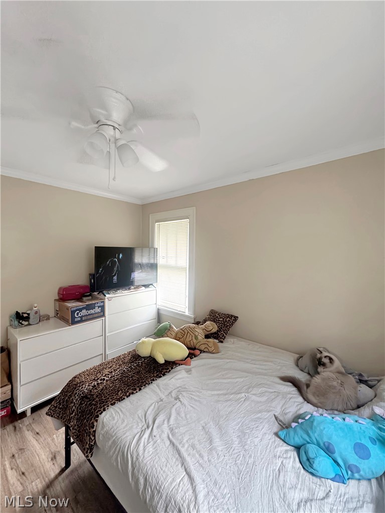 688 Merton Avenue Property Photo 10
