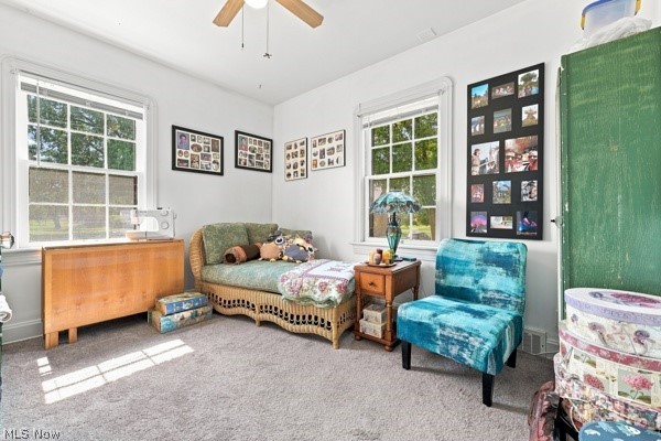 4038 Sunset Boulevard Property Photo 18