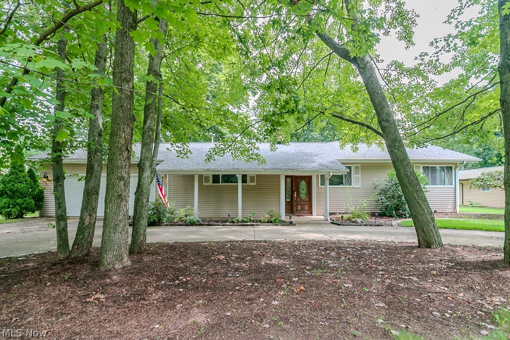 8831 Pine Tree Drive Property Photo 2