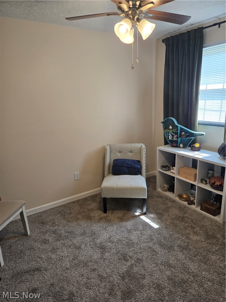 173 S Maple Drive Property Photo 11