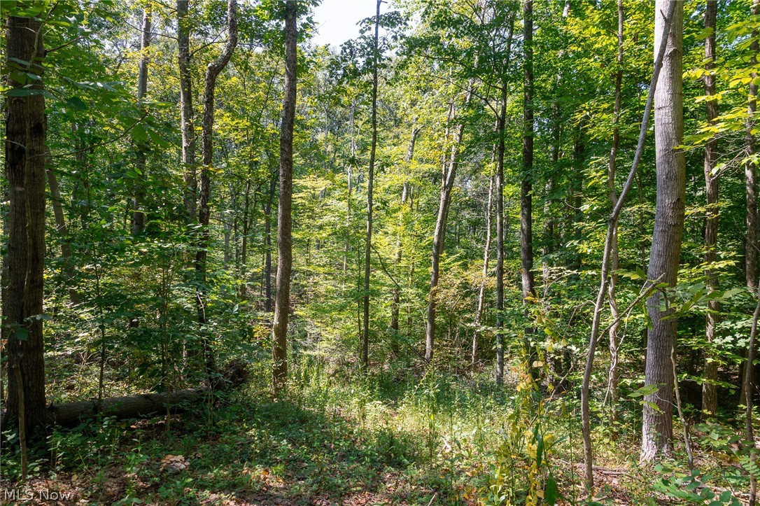 0 3 County Rd 269 Property Photo 12