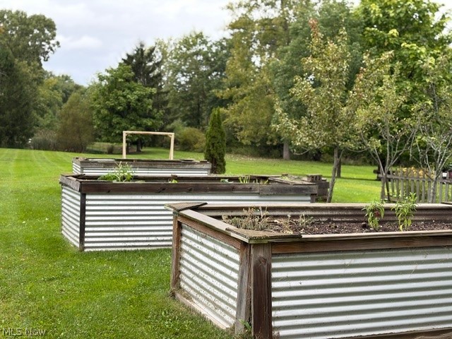 10060 Broadview Road Property Photo 42