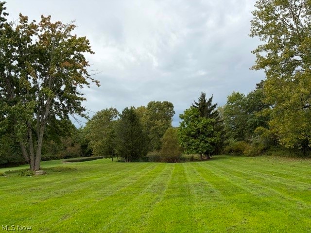 10060 Broadview Road Property Photo 43