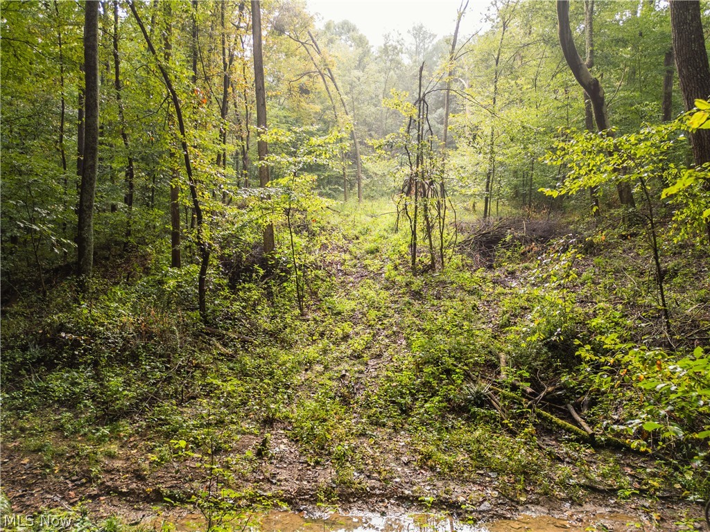 Sr 60 Property Photo 17