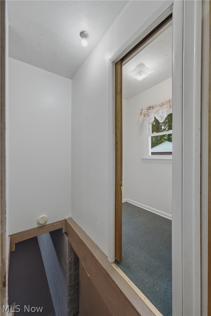 782 Saxon Avenue Property Photo 22