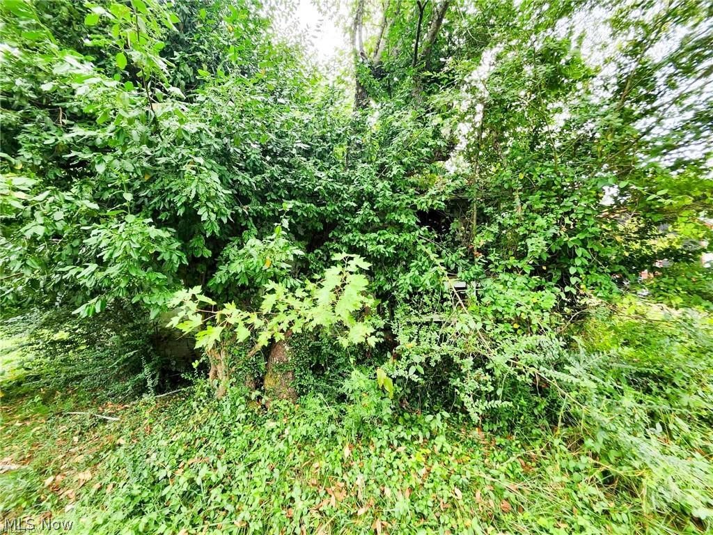 209 2nd St. Property Photo 13