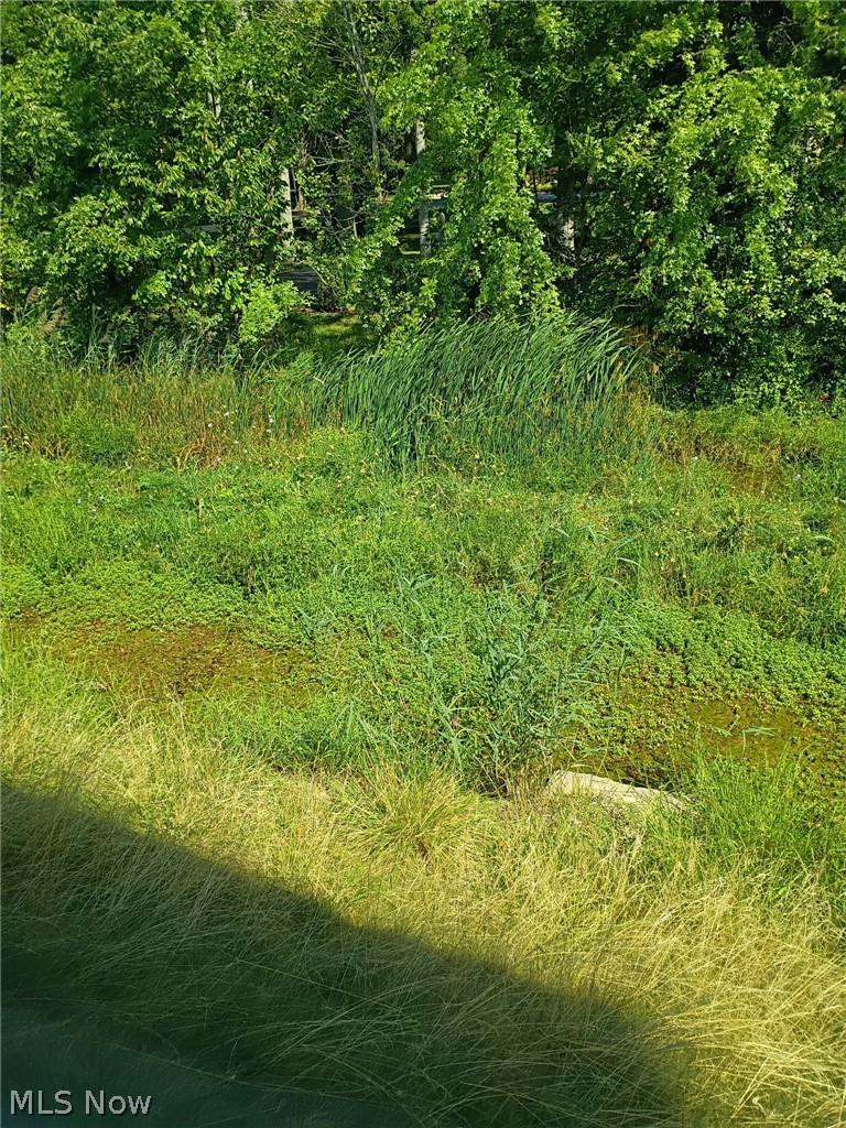 27282 Emerald Oval N Property Photo 39
