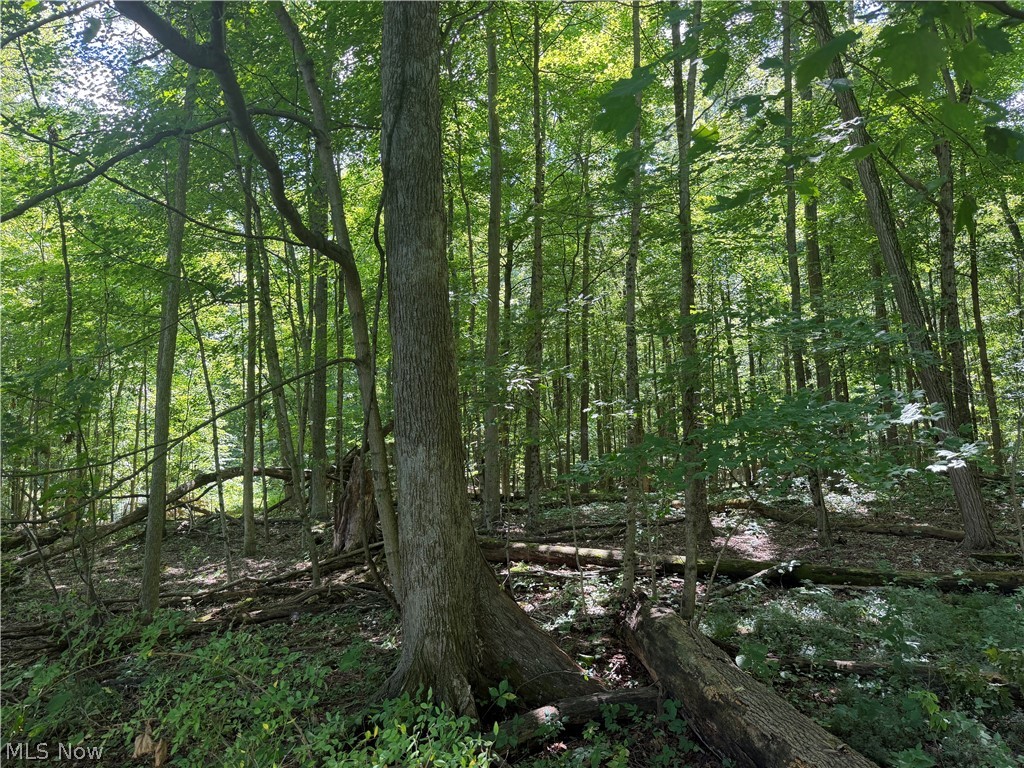 602 State Route 511 Property Photo 5