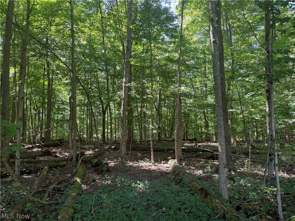 602 State Route 511 Property Photo 6