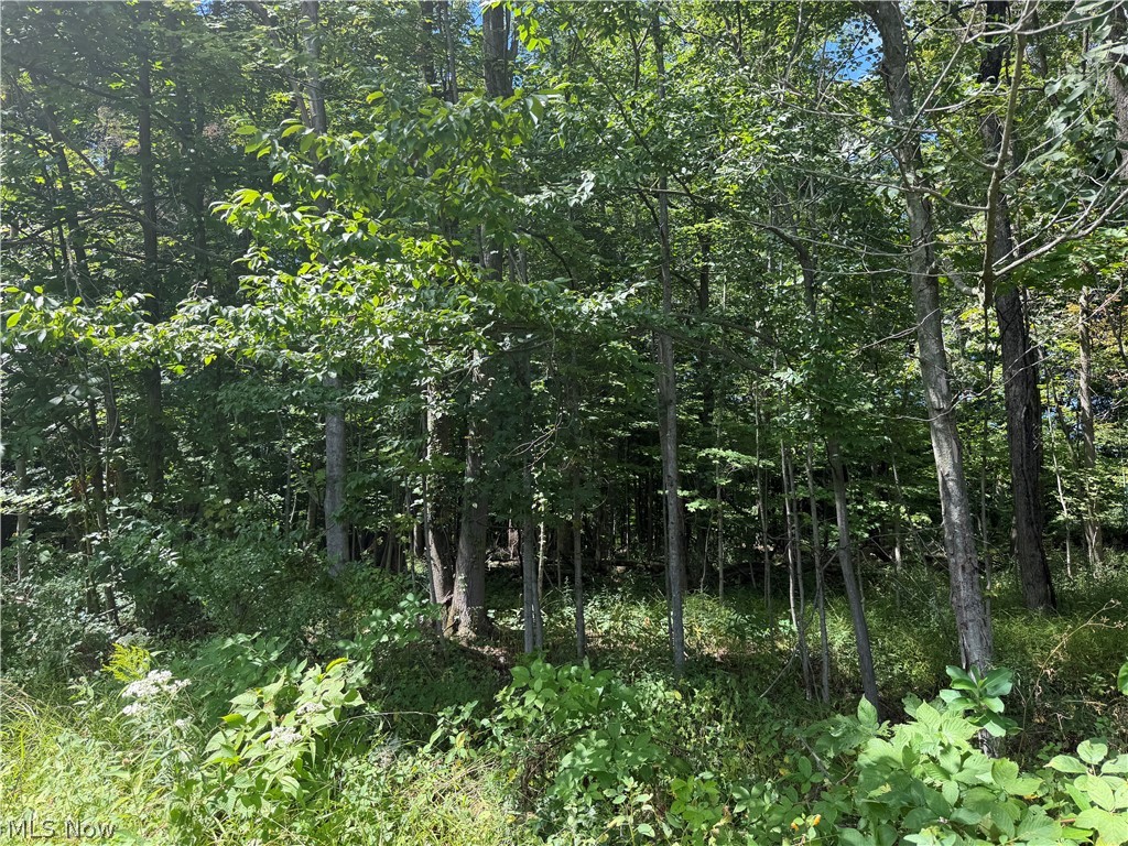602 State Route 511 Property Photo 7