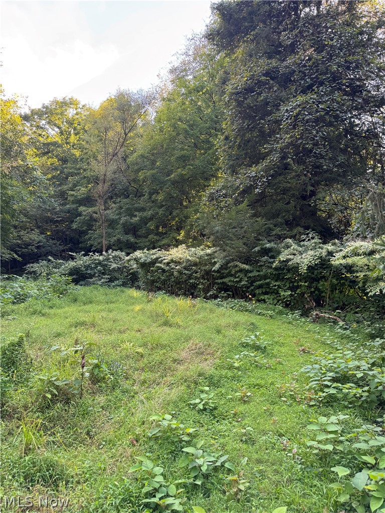 53520 Trough Run Road Property Photo 1