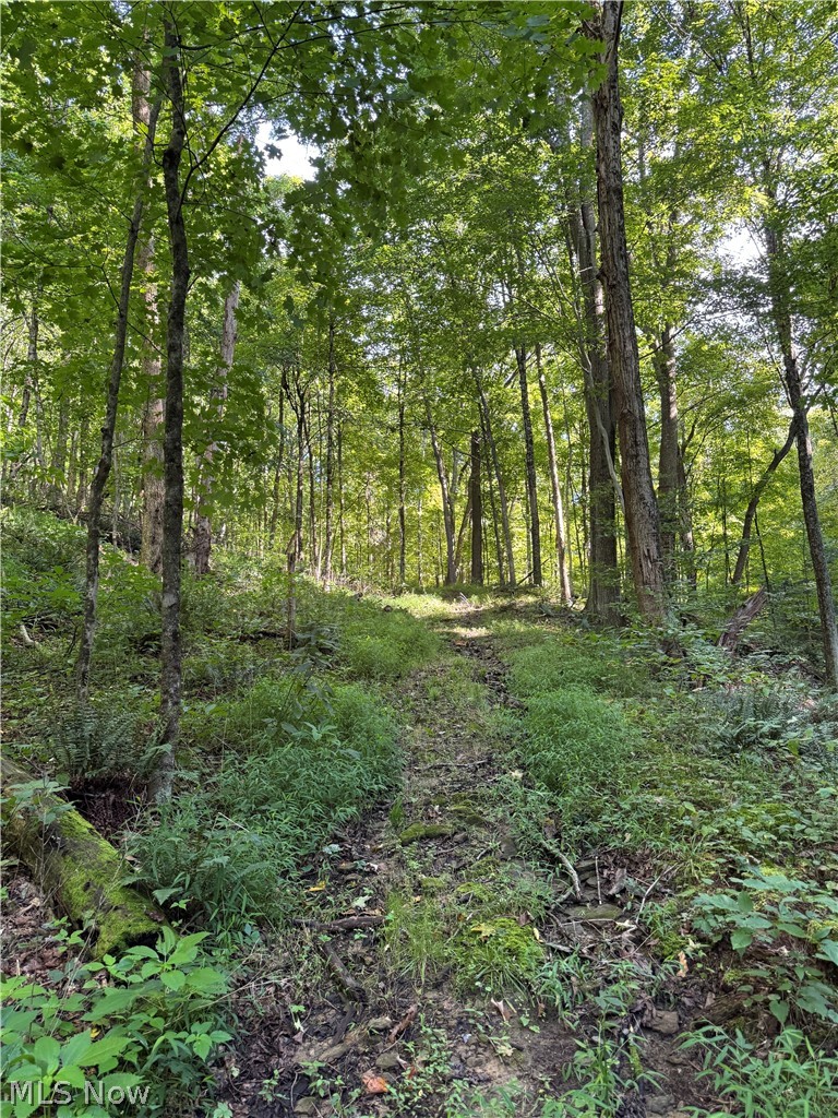 53520 Trough Run Road Property Photo 2