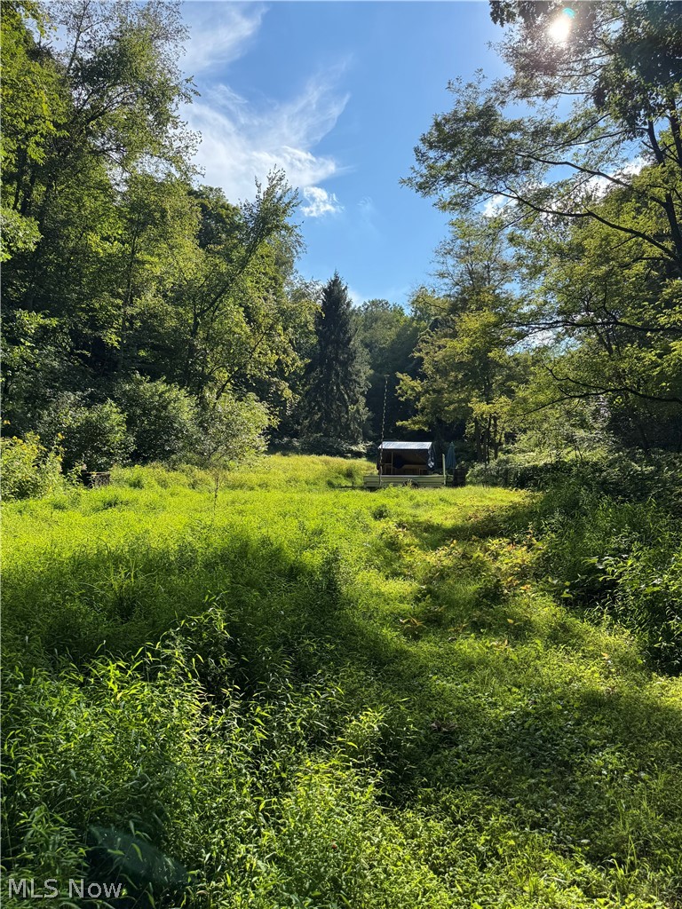 53520 Trough Run Road Property Photo 3