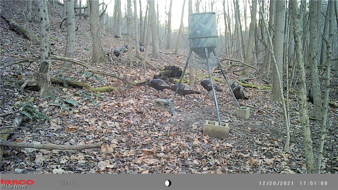 53520 Trough Run Road Property Photo 11