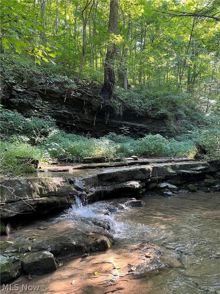 53520 Trough Run Road Property Photo 13