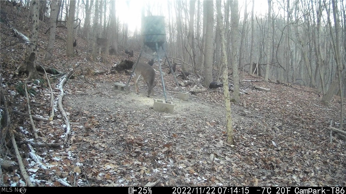 53520 Trough Run Road Property Photo 15