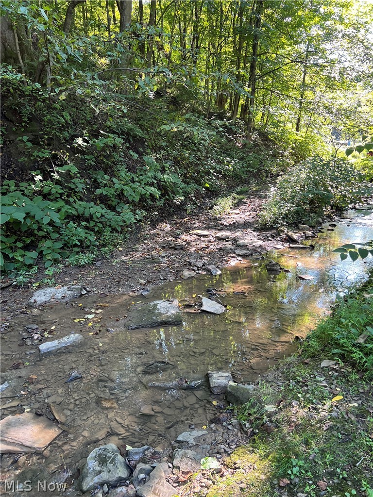 53520 Trough Run Road Property Photo 16