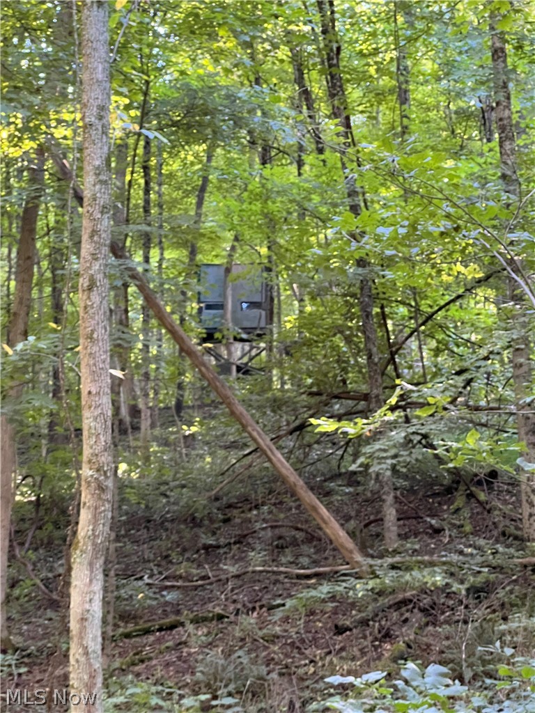 53520 Trough Run Road Property Photo 17